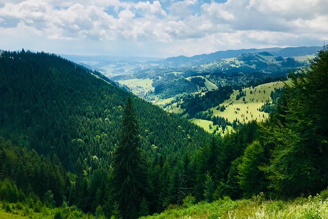 Full Day 4x4 Tour in the Eastern Carpathians - Starting in Miercurea-Ciuc and Leaving the Pavement