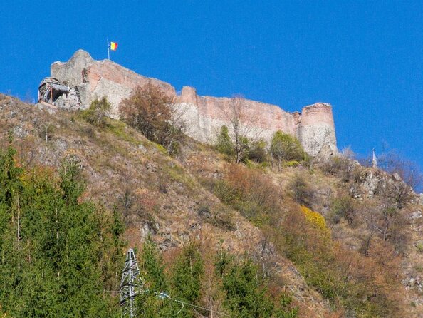 Full-Day Private Carpatian Garden with Dracula's Fortress - Wild Brown Bears - Key points to know before booking
