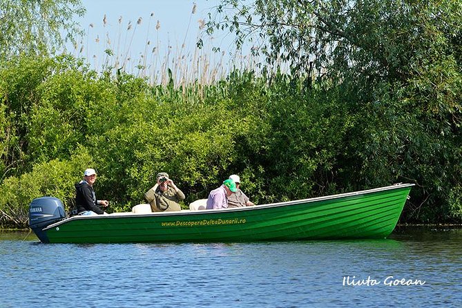 Guided Birdwatching day trip to the Danube Delta - private program - Key points to know before booking