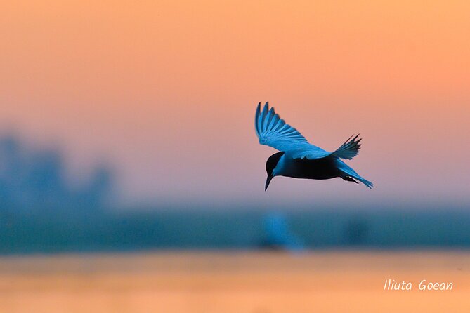 Guided Birdwatching day trip to the Danube Delta - private program - The right clothes can save the day