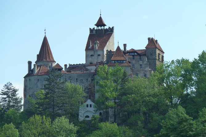Guided visit in Spanish to the Castle of Dracula in Bran (native Spanish guide). - Inside the castle: one hour with a story to follow