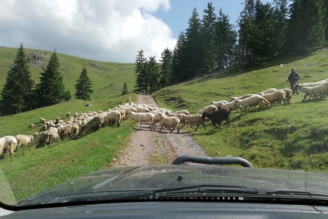 Half-Day 4x4 Tour in the Eastern Carpathians - Setting Out in a Suzuki Jimny