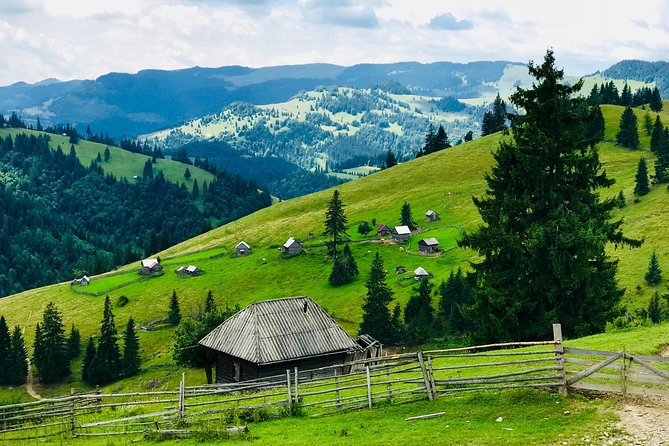 Half-Day 4x4 Tour in the Eastern Carpathians - Wildlife, War History, and Local Stories