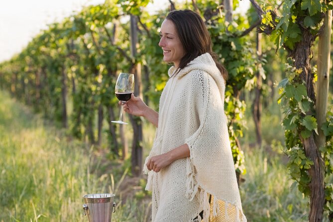 Half-Day Gramma Wine Tasting Tour in Iasi - Why this half-day makes sense in Iasi