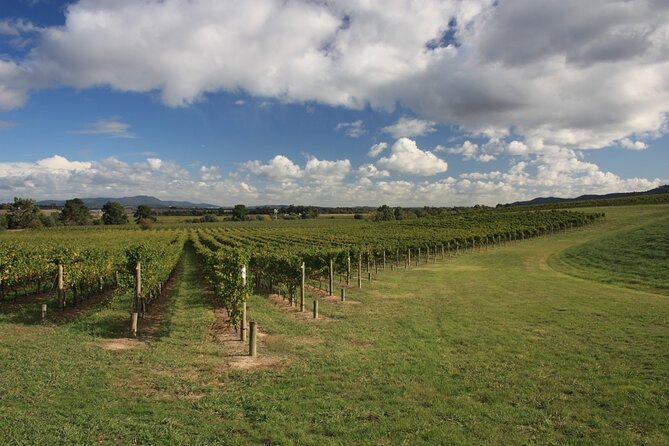 Half-Day Gramma Wine Tasting Tour in Iasi - Is $141.35 good value?