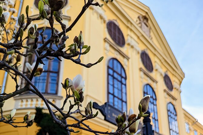 Half-Day Private Food and Wine Walking Tour Oradea Romania - Why this Oradea tour works so well