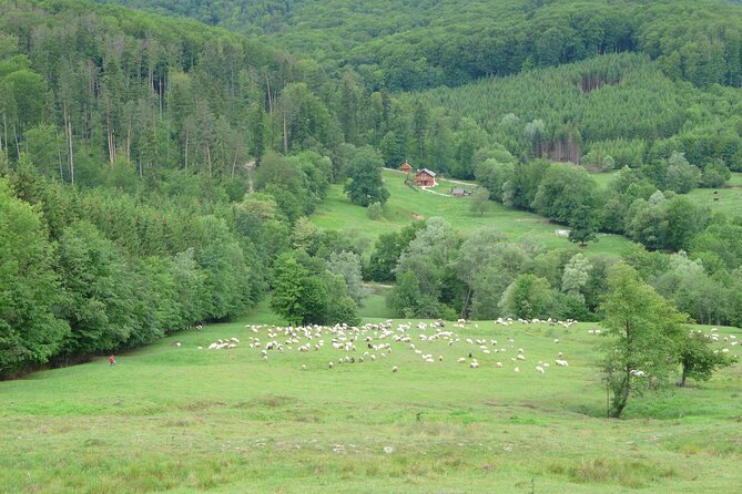 Half Day Tour to Bucovina Painted Monasteries - What the guide adds to the visit