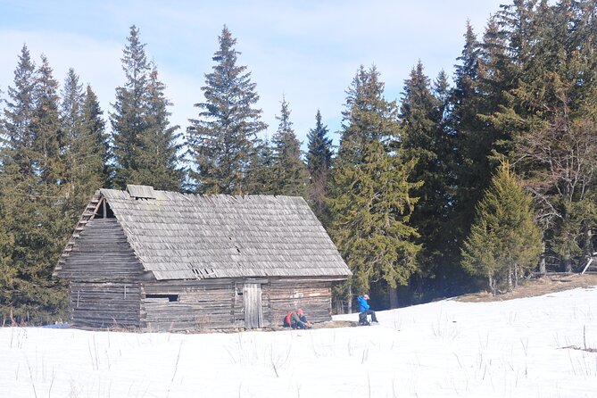 Hike in the Wild Private Photo Tour - Leaving Brasov for Zarnesti and the park entrance