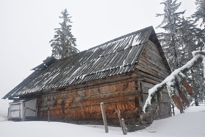 Hike in the Wild Private Photo Tour - Winter tracks, flowers, and seasonal changes