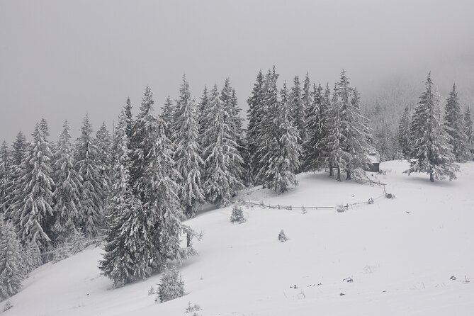 Hike in the Wild Private Photo Tour - Is $115.19 per person a fair price?