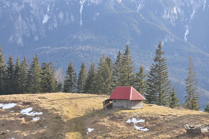 Hike in the Wild Private Photo Tour - Seven hours across forest roads and mountain meadows