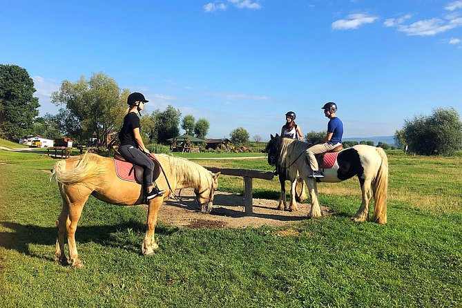 Horseback Riding Tour In Brasov - Ride Through Fields, Forests & Hills - Key Points Before You Book
