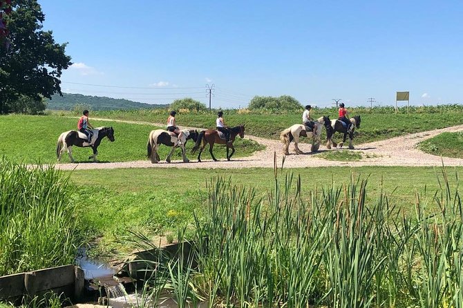 Horseback Riding Tour In Brasov - Ride Through Fields, Forests & Hills - From Brasov Streets to a Local Ranch