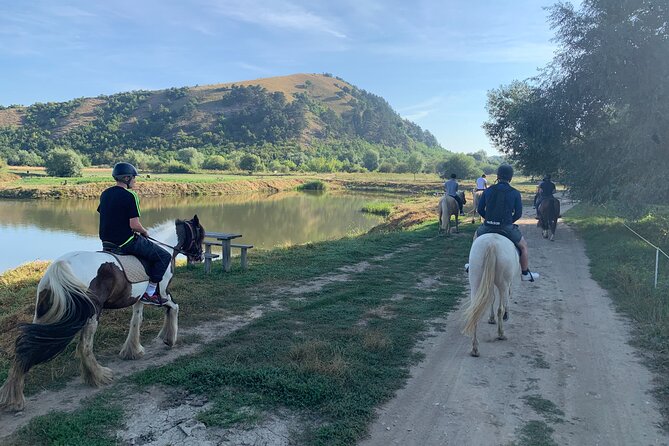 Horseback Riding Tour In Brasov - Ride Through Fields, Forests & Hills - One Hour Through Fields, Hills, and Forests