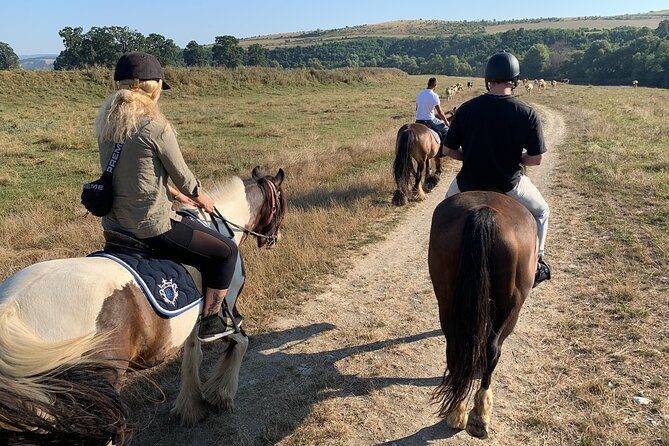 Horseback Riding Tour In Brasov - Ride Through Fields, Forests & Hills - Time Around Friesian and Andalusian Horses