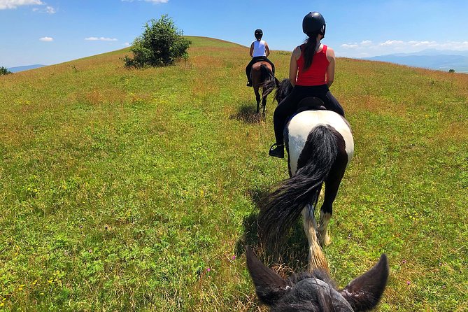 Horseback Riding Tour In Brasov - Ride Through Fields, Forests & Hills - Who Will Enjoy This Brasov Horse Ride?