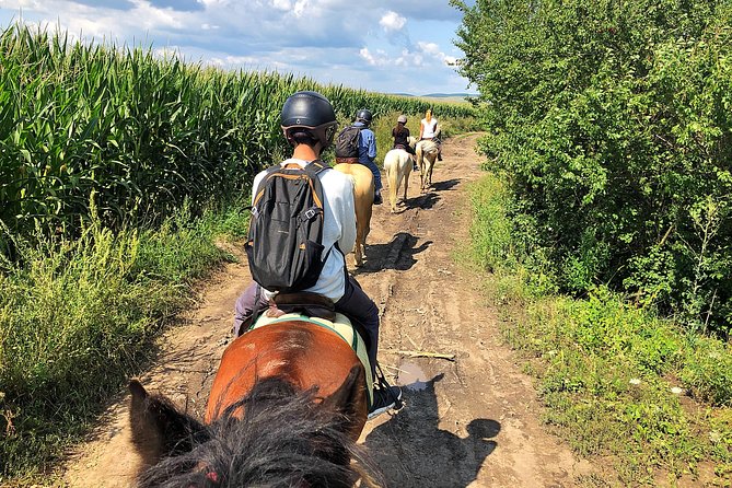 Horseback Riding Tour In Brasov - Ride Through Fields, Forests & Hills - Should You Book This Experience?