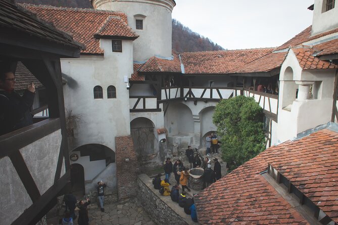 Legends&Wildlife Awaits: Dracula's Castle & Bear Sanctuary - Setting out from Bucharest at 7:00 am