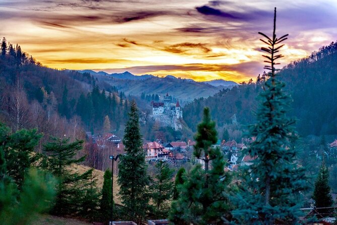 Legends&Wildlife Awaits: Dracula's Castle & Bear Sanctuary - What makes the bear sanctuary worth your time