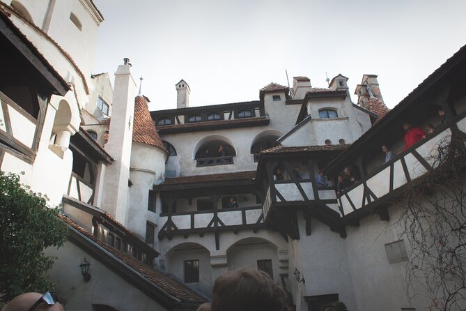 Legends&Wildlife Awaits: Dracula's Castle & Bear Sanctuary - Through the Carpathian Mountains to Bran Castle