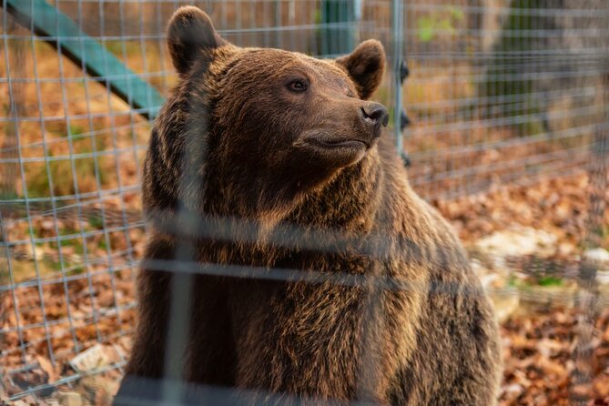 Legends&Wildlife Awaits: Dracula's Castle & Bear Sanctuary - How much value do you get for $224.76?