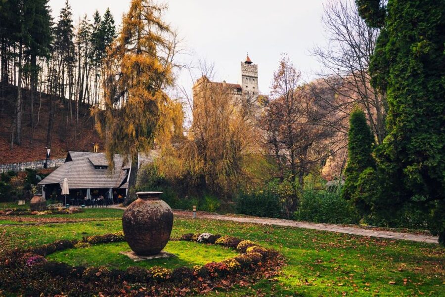 Legends&Wildlife Awaits: Dracula's Castle & Bear Sanctuary - My booking verdict for Dracula’s Castle and Libearty