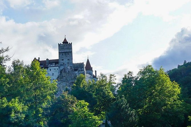 Libearty Bear Sanctuary and Dracula's Castle - Day Tour from Bucharest - How much time does the day really take?