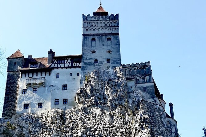 Libearty Bear Sanctuary and Dracula's Castle - Day Tour from Bucharest - What to bring and how to prepare