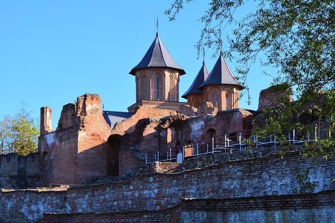 LiBEARty Brown Bear Sanctuary and The Real Dracula Tour - Is $266.05 a good value?