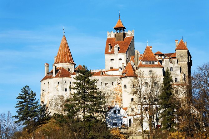 LiBEARty Brown Bear Sanctuary and The Real Dracula Tour - Bran Castle and the Dracula question