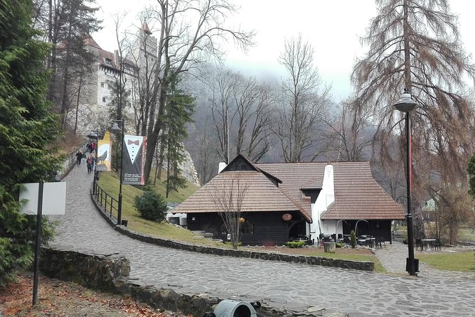 LiBEARty - the Brown Bear Sanctuary from Zarnesti - What the $289.20 Group Price Really Buys