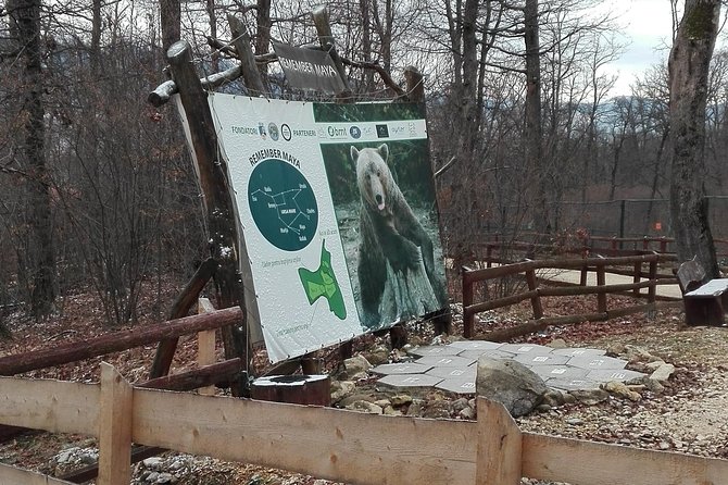 LiBEARty - the Brown Bear Sanctuary from Zarnesti - Who Should Choose This Tour
