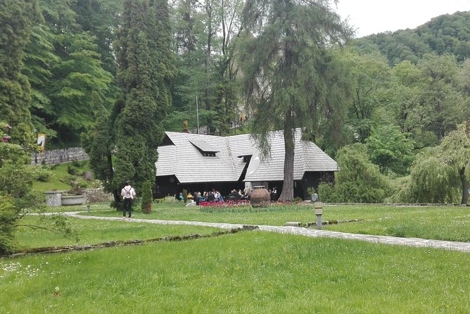 LiBEARty - the Brown Bear Sanctuary from Zarnesti - Should You Book the LiBEARty, Bran, and Brasov Tour?