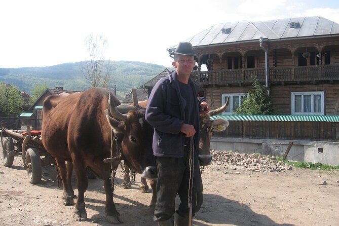 Maramures Day Tour (trip start in Bucovina, end in Sighetu M.) - Prislop Pass at 1,416 meters