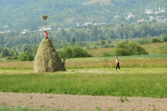 Maramures Day Tour (trip start in Bucovina, end in Sighetu M.) - Ieud Wooden Church and old painting techniques