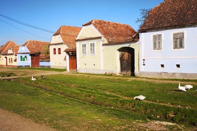 Medieval Sighisoara & Rural Viscri - PRIVATE tour- LUNCH INCLUDED - The Scholars’ Stairs and Church on the Hill
