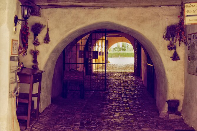 Medieval Transylvania Full-Day Private Tour from Brasov - What the private vehicle and guide add