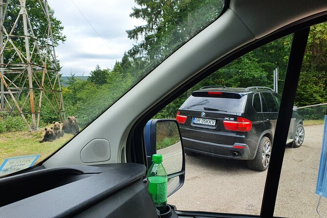 Meet Wild Brown Bears on the Roads to Real Dracula's Fortress - Vidraru Dam and the bear-viewing roads