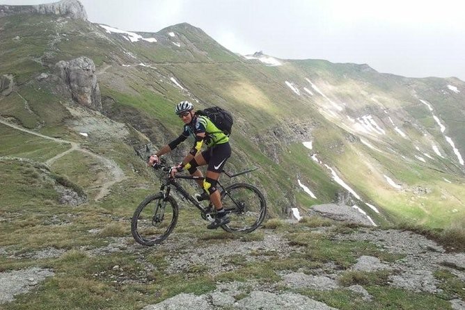 Mountain Bike Day Tour around Brasov - Starting among the pines at Poiana Brasov