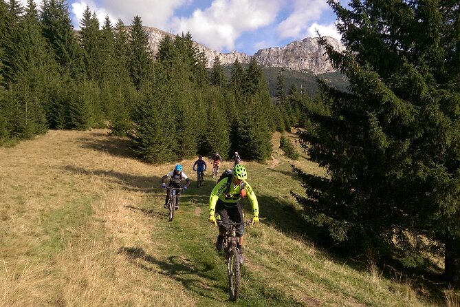 Mountain Bike Day Tour around Brasov - Who will get the most from this ride