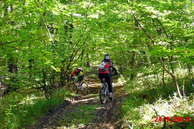 Mountain Bike Day Tour around Brasov - Forest roads, views, and a different side of Brasov
