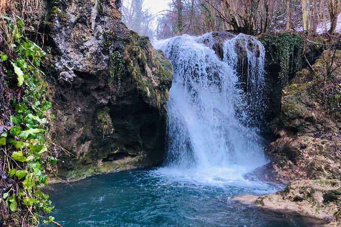 Nera Gorge National Park - Private Day Tour from Timisoara - What this private day from Timisoara is really like