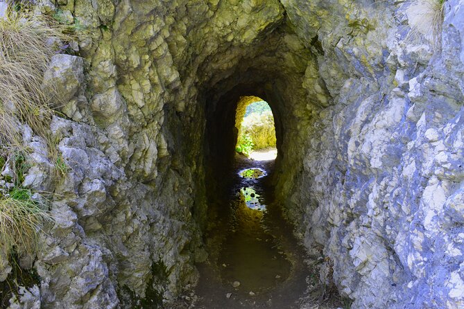 Nera Gorge National Park - Private Day Tour from Timisoara - La Vaioaga Waterfall after a 30-minute walk