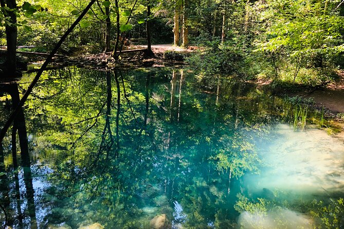 Nera Gorge National Park - Private Day Tour from Timisoara - Lunch and the rhythm of the day