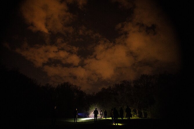 Night Tour in Hoia Baciu Forest - Why Hoia Baciu Became Famous