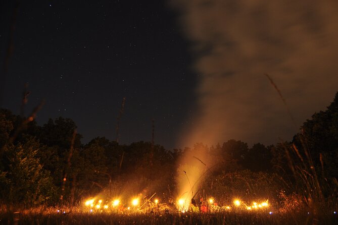 Night Tour in Hoia Baciu Forest - Pickup From Cluj-Napoca and the Private Advantage