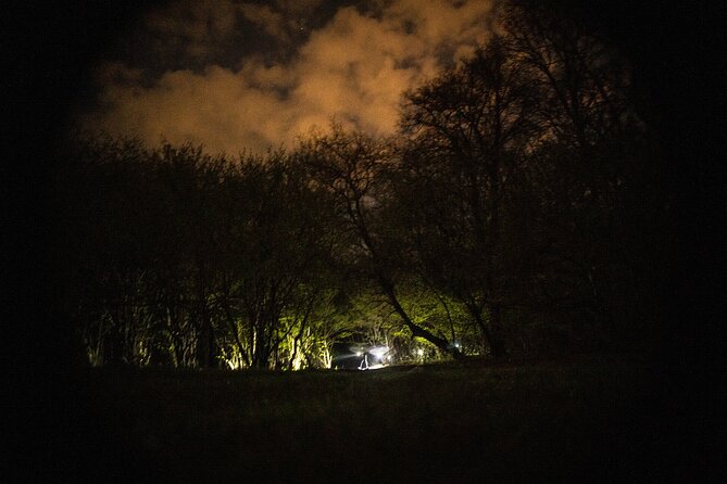 Night Tour in Hoia Baciu Forest - The Stories Along the Winding Paths