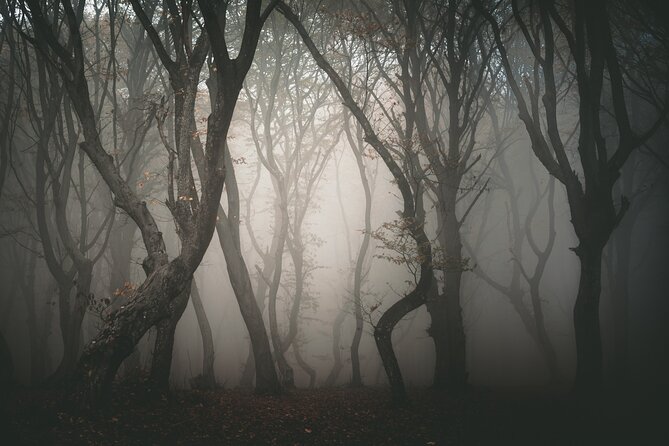 Night Tour in Hoia Baciu Forest - Is $160.57 Per Person Good Value?