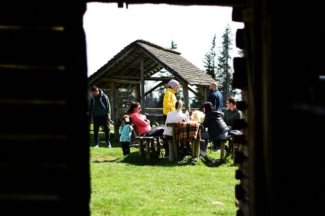 Off Road Adventure and Traditional Lunch at the Sheepfold - Voinești forest and the chance of wildlife