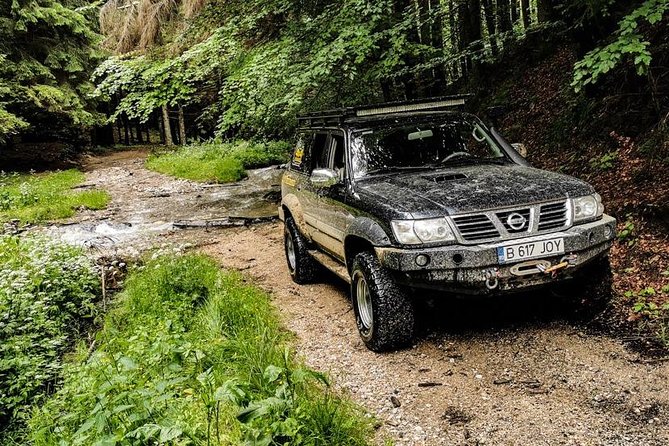 Off Road Adventures in Wild Carpathians - 5 Days - Day 3: Zarnesti Gorge, village roads, and Bran Castle